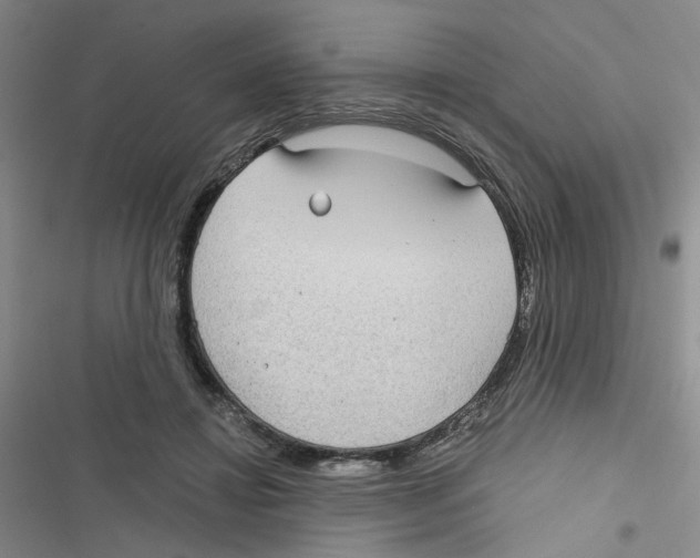 X0000116790452201001151105