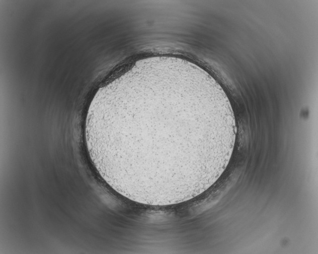 X0000116790453201001151105