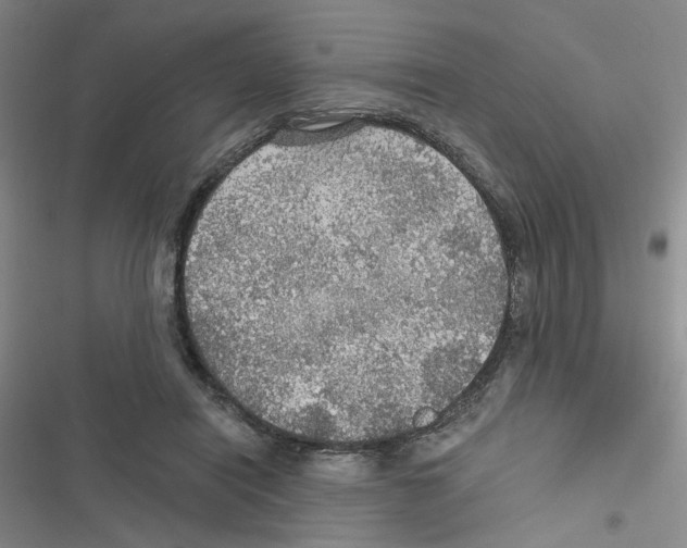 X0000116790454201001151105