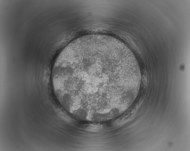 X0000116790458201001151105