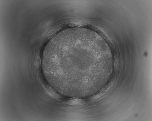 X0000116790459201001151105