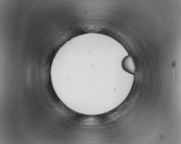 X0000116790460201001151105