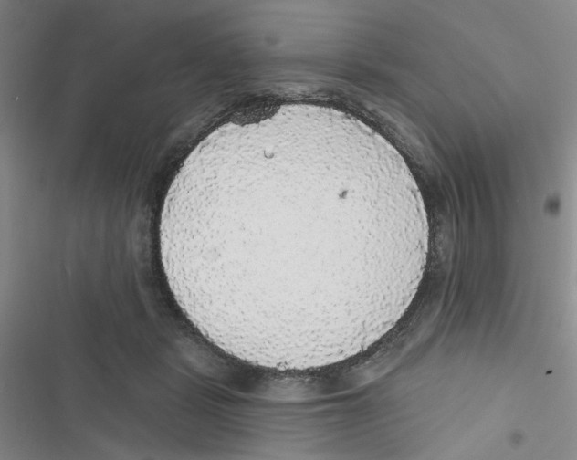 X0000116790461201001151105