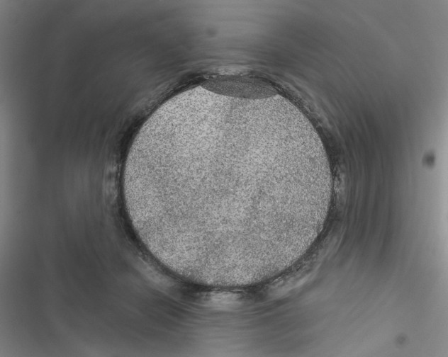 X0000116790462201001151105