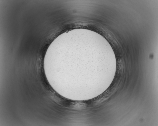 X0000116790463201001151105