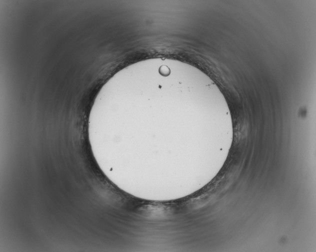 X0000116790464201001151105