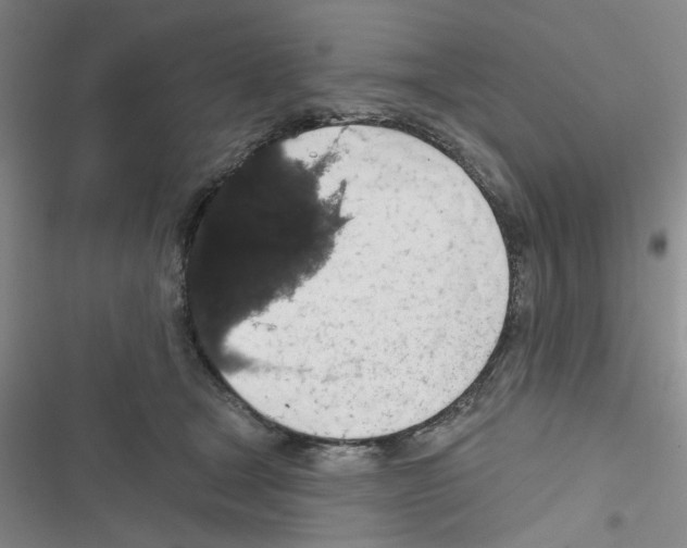 X0000116790465201001151105