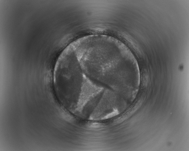 X0000116790467201001151105