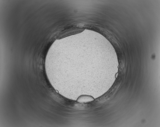 X0000116790470201001151105