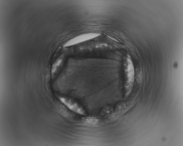 X0000116790471201001151105