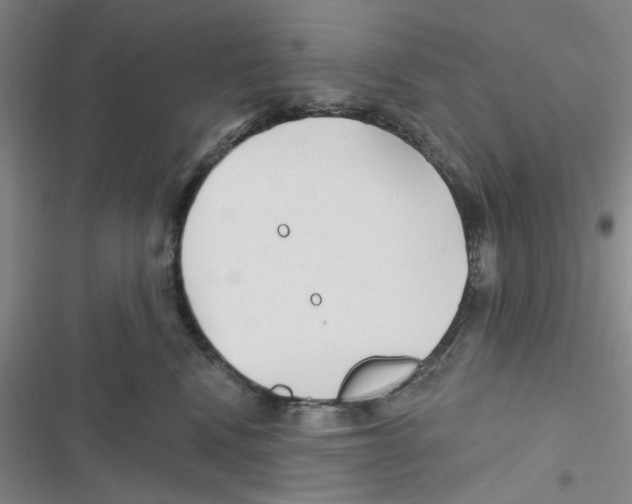 X0000116790472201001151105