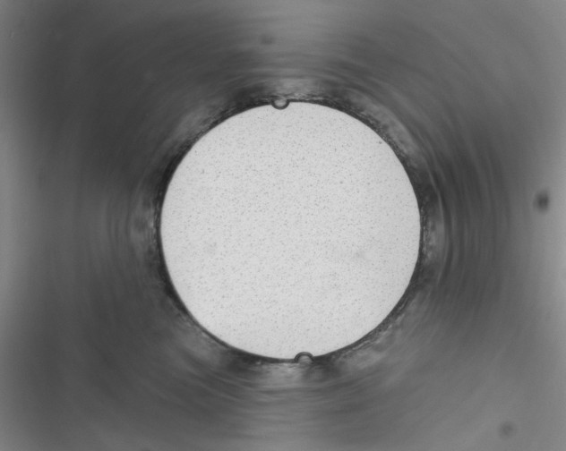 X0000116790473201001151105
