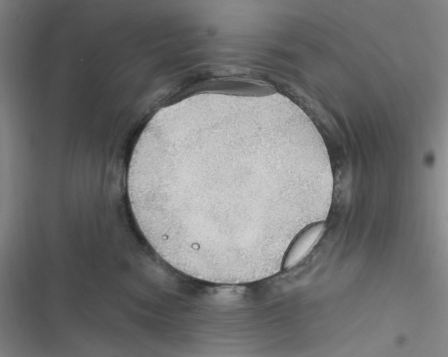 X0000116790474201001151105