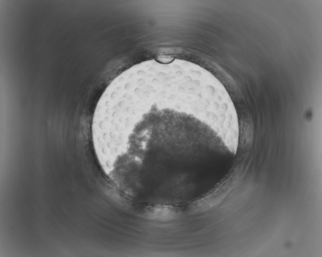 X0000116790475201001151105