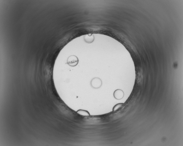 X0000116790476201001151105