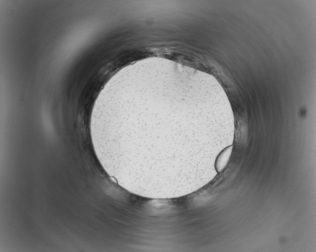 X0000116790477201001151105