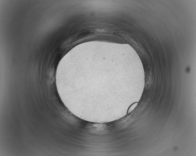 X0000116790478201001151105