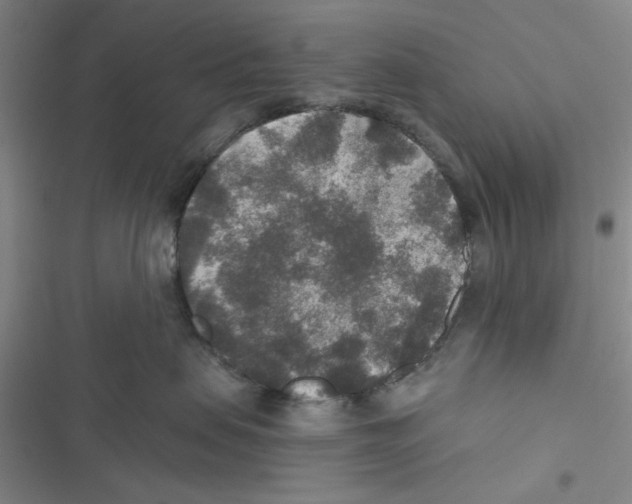 X0000116790479201001151105