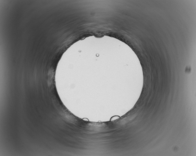 X0000116790480201001151105