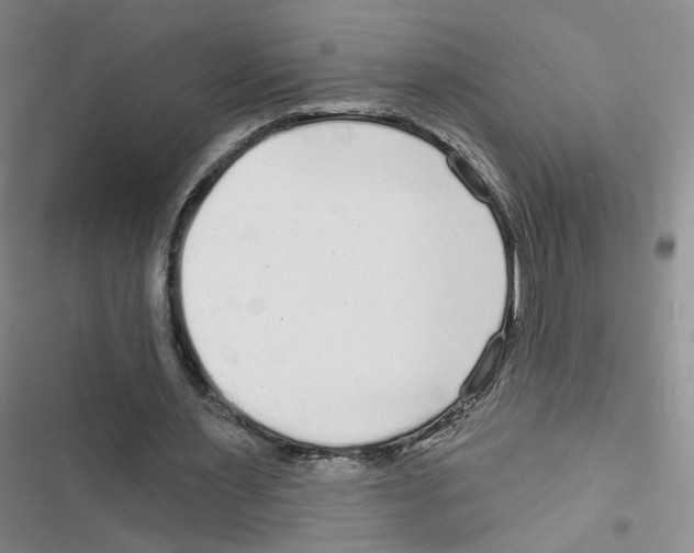 X0000116790483201001151105