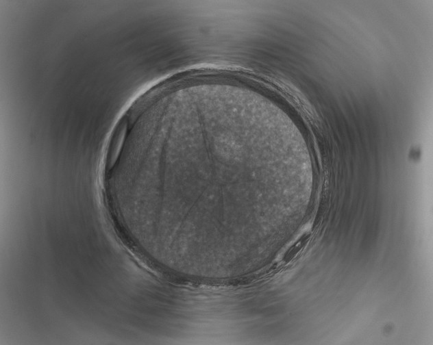 X0000116790484201001151105