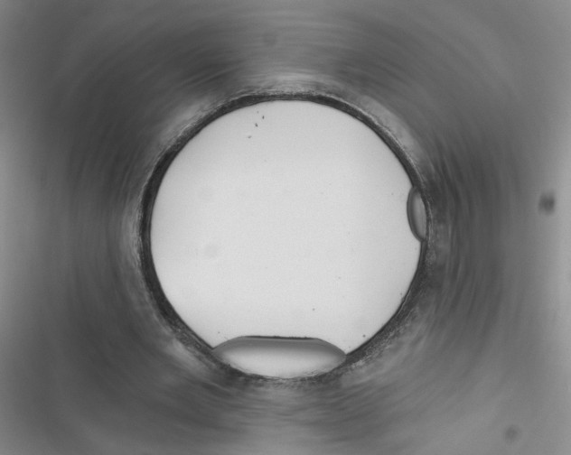 X0000116790485201001151105