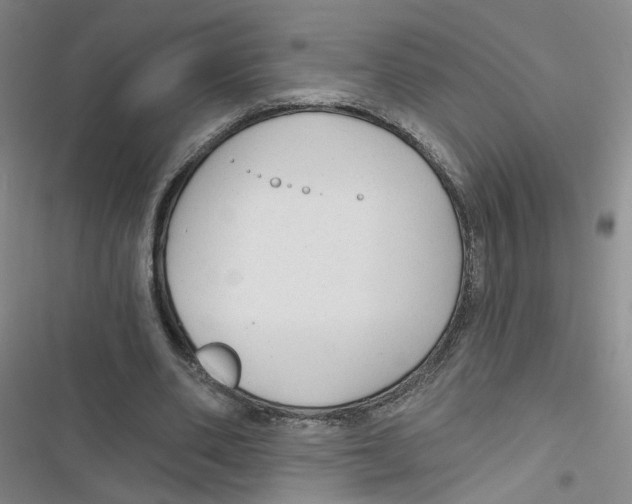 X0000116790486201001151105