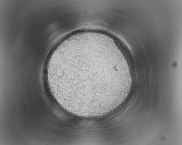 X0000116790487201001151105