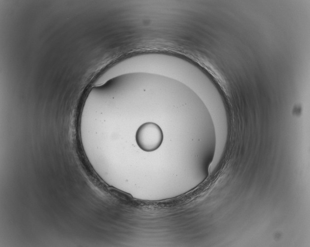 X0000116790489201001151105