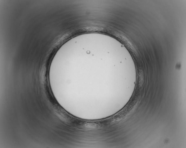 X0000116790490201001151105