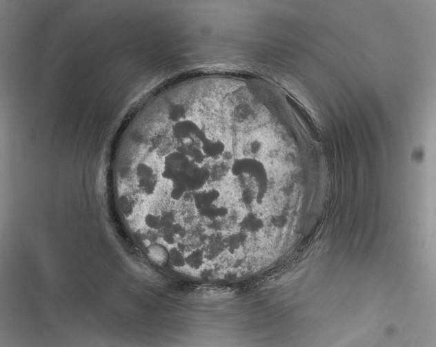X0000116790491201001151104