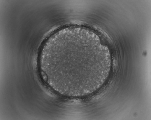 X0000116790492201001151104