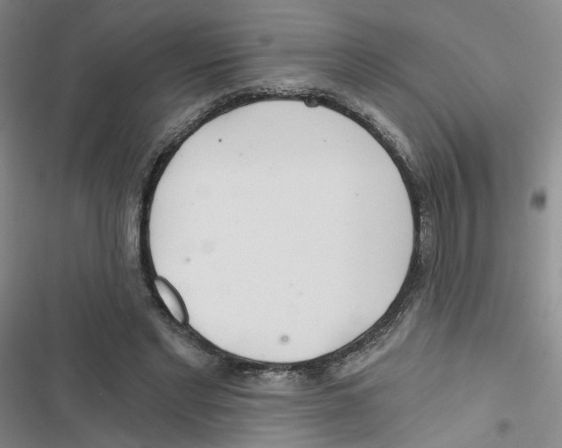 X0000116790493201001151104