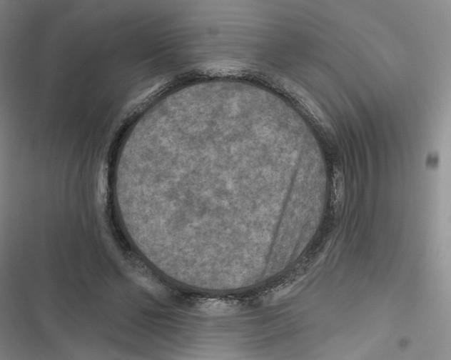 X0000116790494201001151104