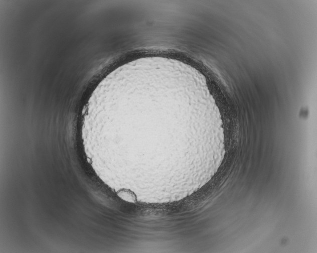 X0000116790495201001151104