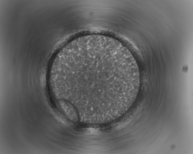 X0000116790496201001151104