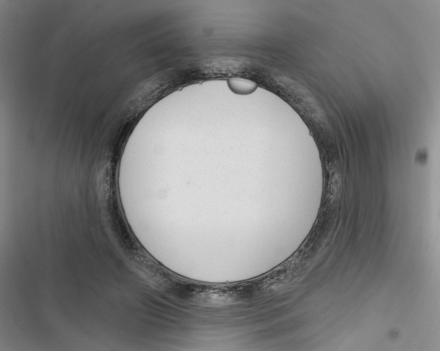 X0000116790498201001151104