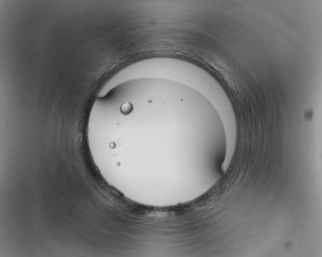 X0000116790499201001151104