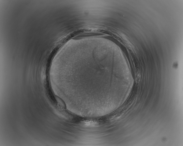 X0000116790500201001151104