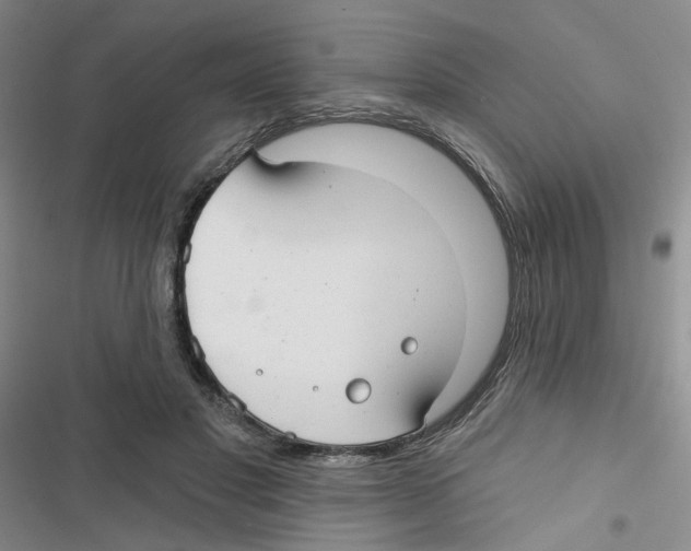 X0000116790501201001151104