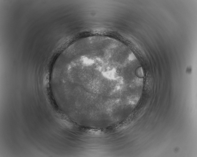 X0000116790502201001151104