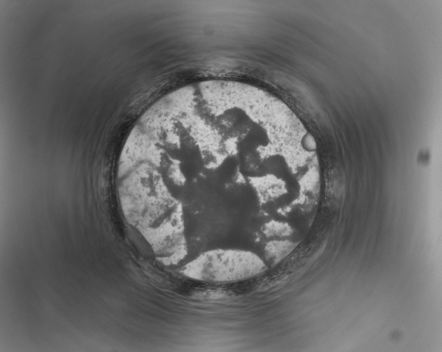 X0000116790503201001151104