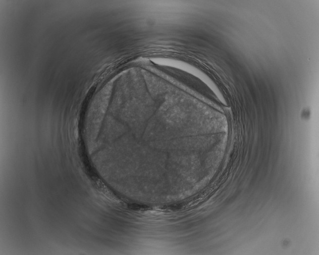 X0000116790504201001151104