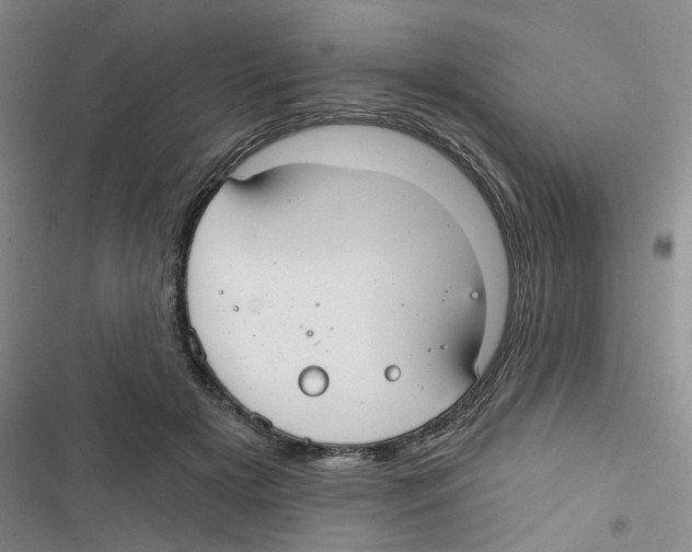 X0000116790505201001151104