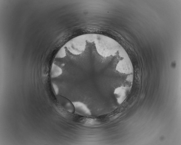 X0000116790507201001151104