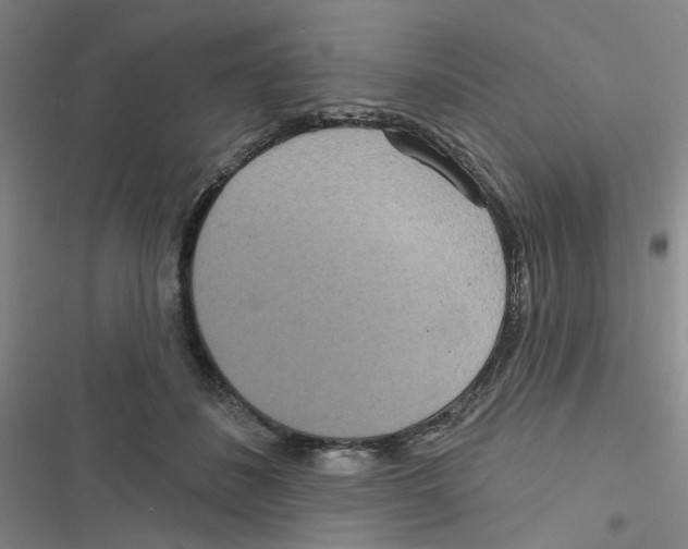 X0000116790508201001151104