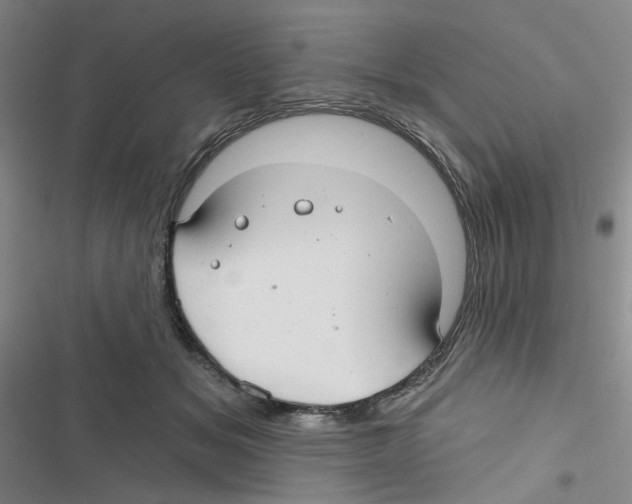 X0000116790509201001151104
