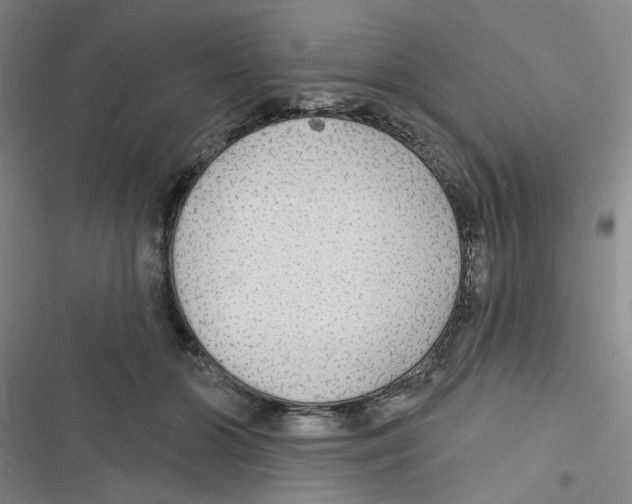 X0000116790510201001151104