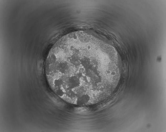 X0000116790511201001151104