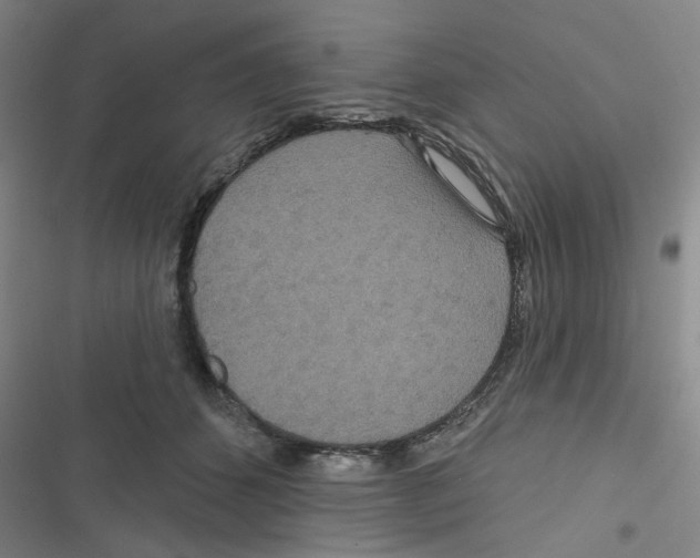 X0000116790512201001151104